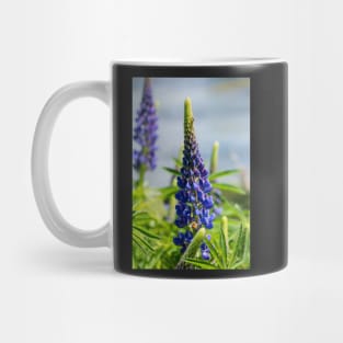 Two purple lupin flowers. Mug